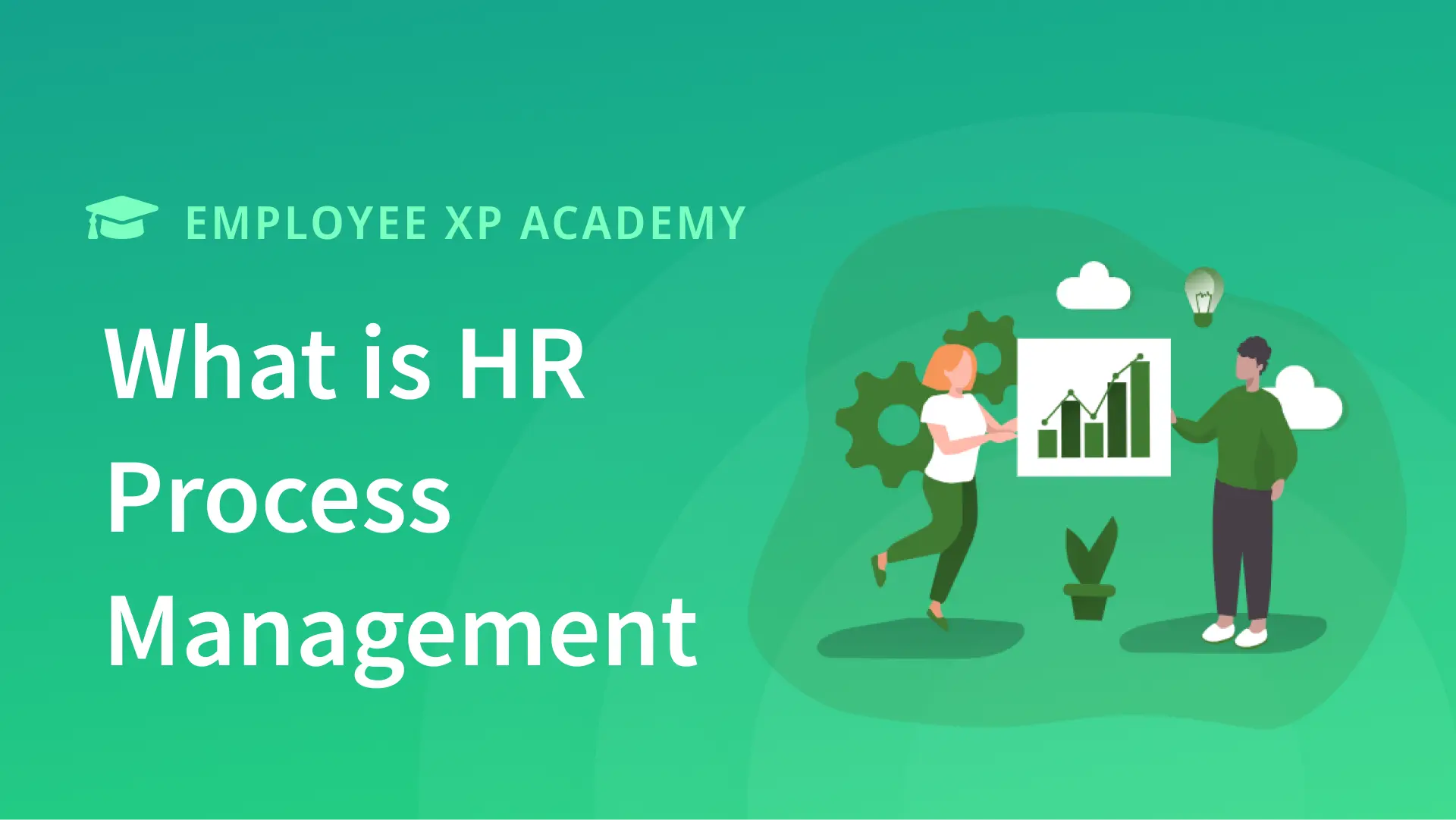 What is HR Process Management?